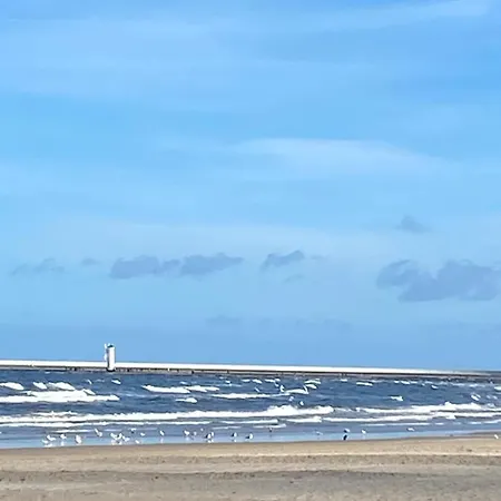 Delux 26 Lejlighed